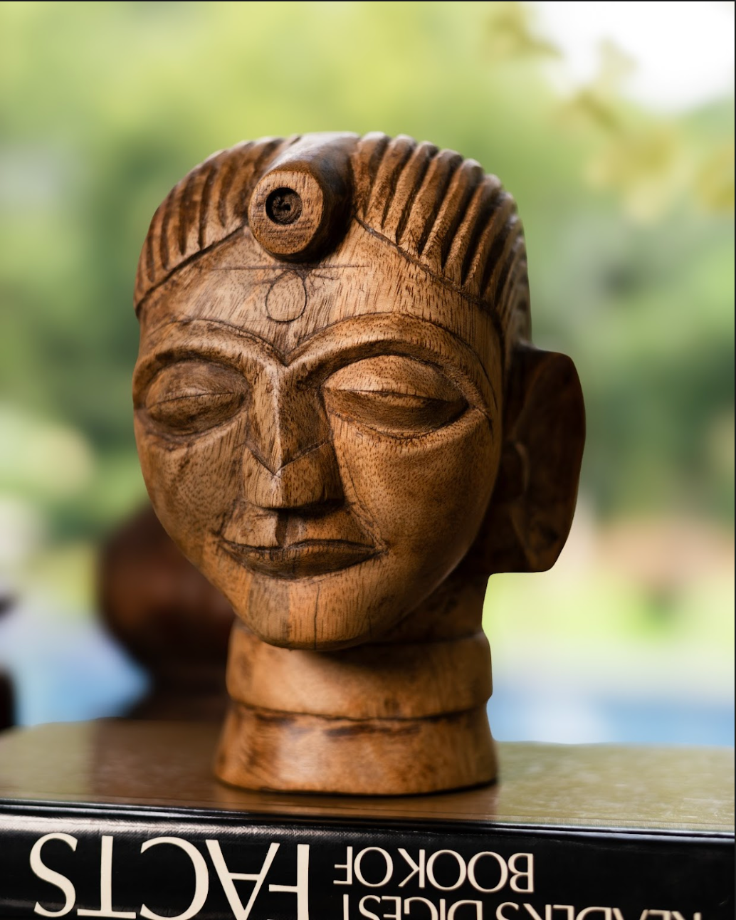 The Shanta Gauri is a hand-carved wooden bust that embodies quiet strength and meditative calm. Inspired by the divine essence of Gauri — the goddess of purity and compassion — this sculpture radiates serenity with its closed eyes and tranquil expression.