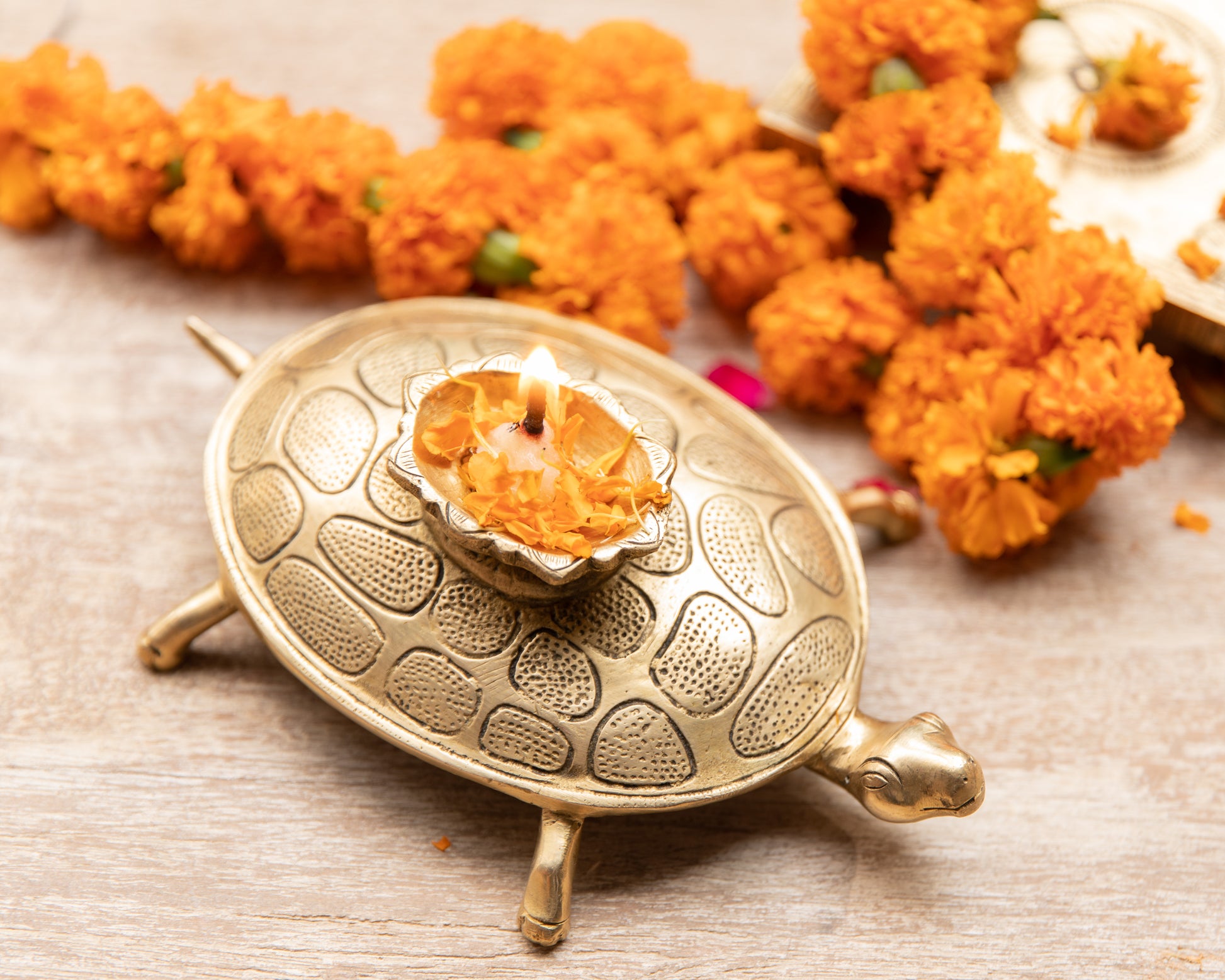 Brass Tortoise Diya With The Positive Vibrations of The Tortiose Combined with the ritualistic practices of India To Bring In Positive Vibrations. 