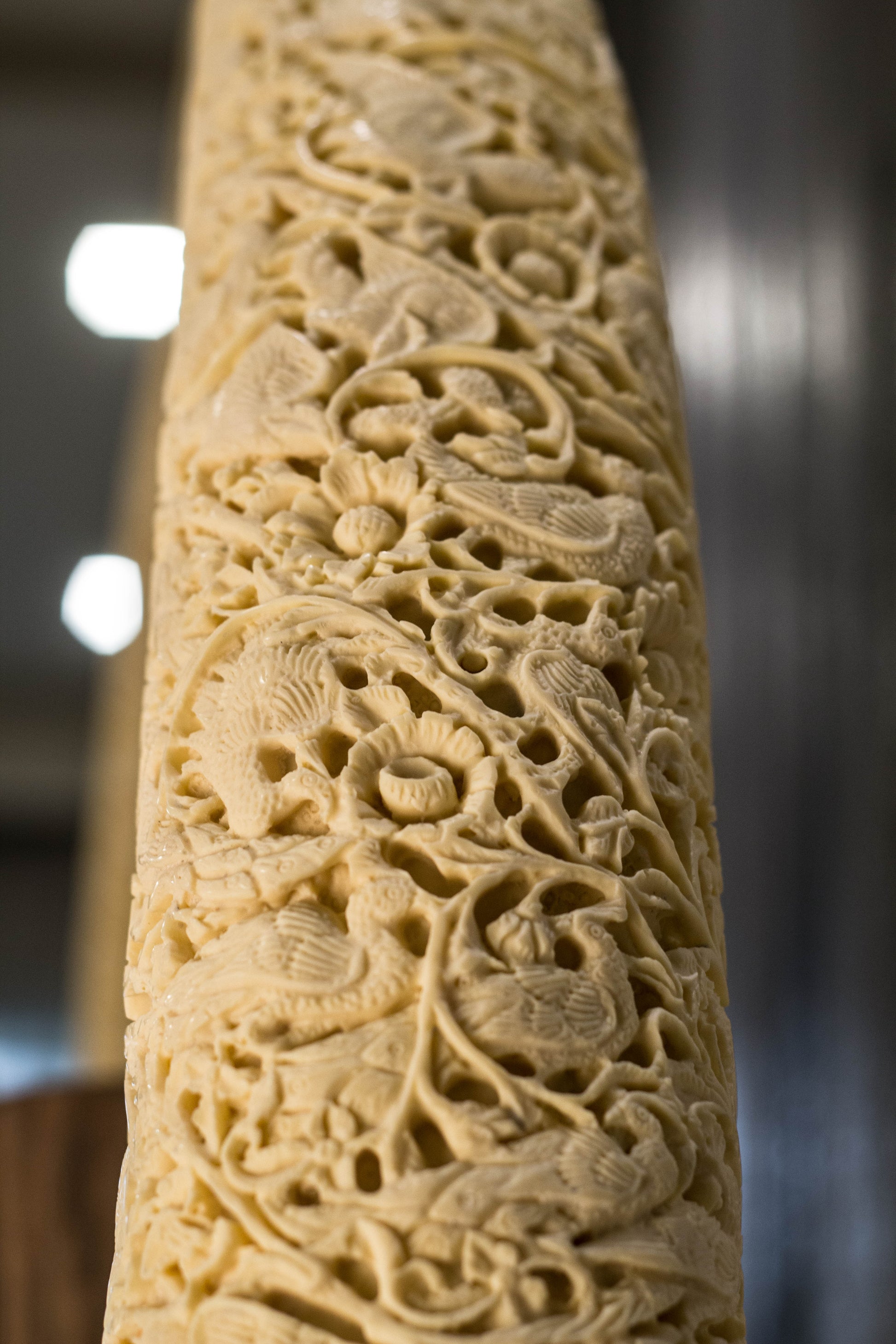 A true object d'art. Carved on a camel bone, the intricate work is inspired by carvings done in ancient times as a symbol of wealth & privilege. A single tusk is majestic on a consol