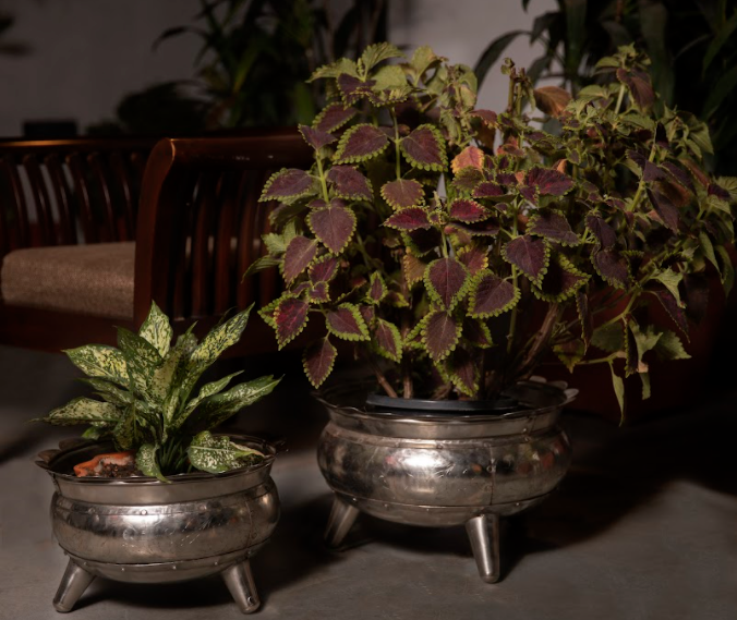 Sold as a set of 2, these Silver Metal Planters are made of metal, in a rustic Metallic Finish.