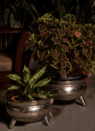 Sold as a set of 2, these Silver Metal Planters are made of metal, in a rustic Metallic Finish.